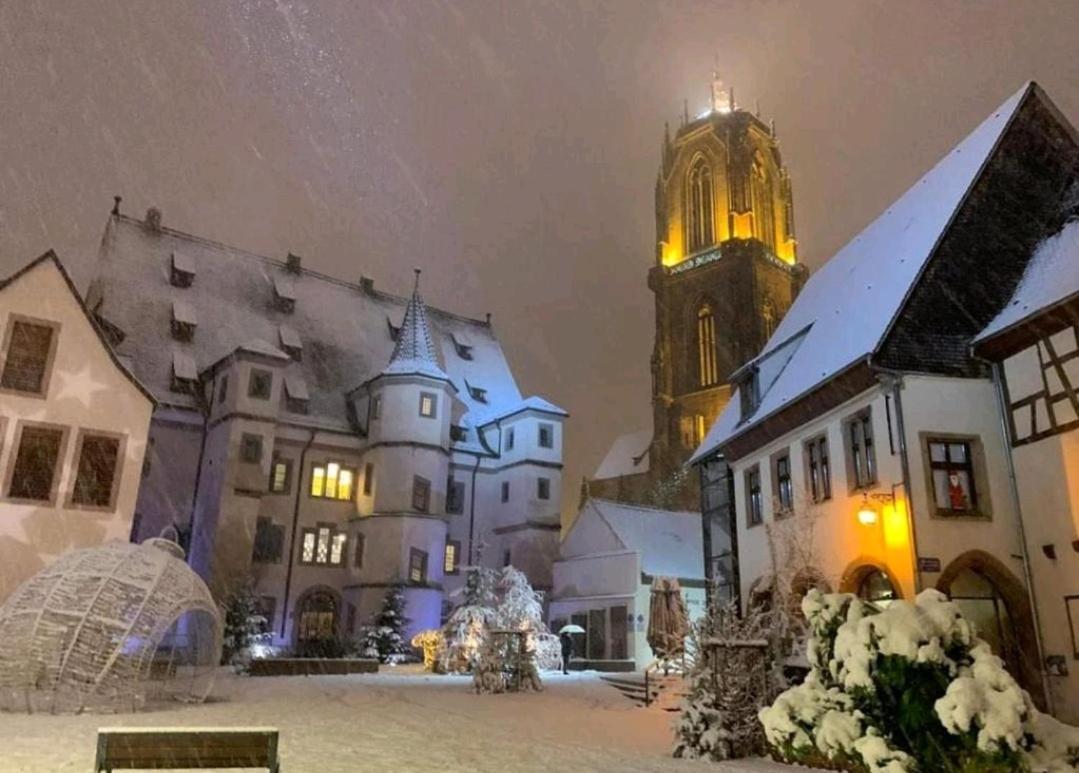 La Terrasse Des Chevaliers Selestat
