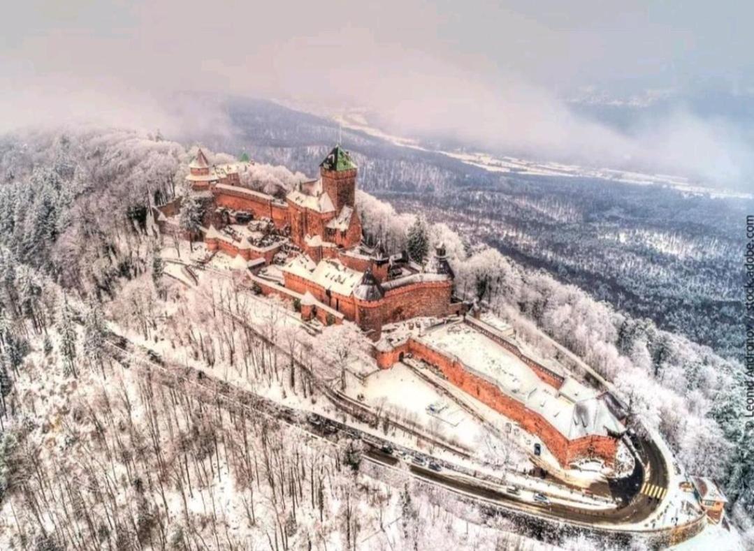 La Terrasse Des Chevaliers Selestat
